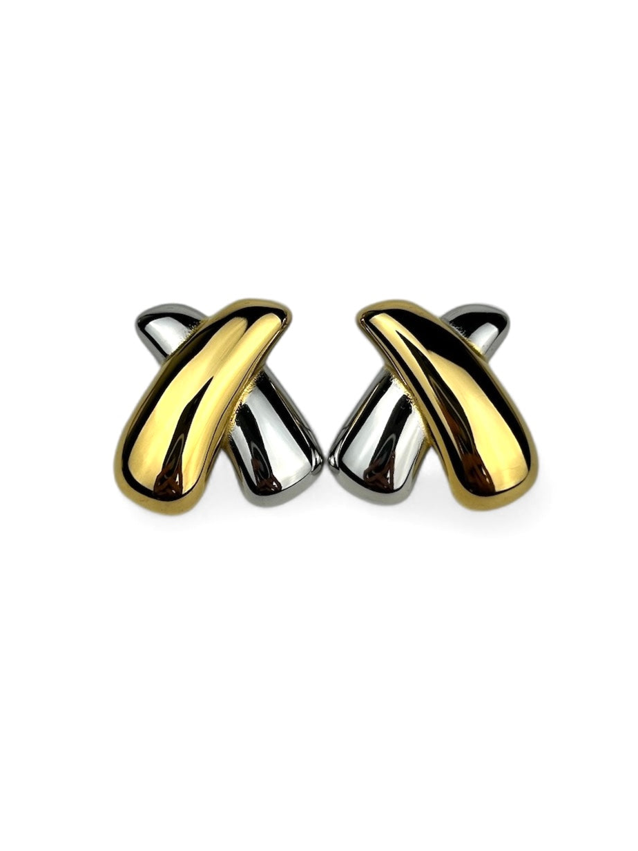 Aretes Tauro